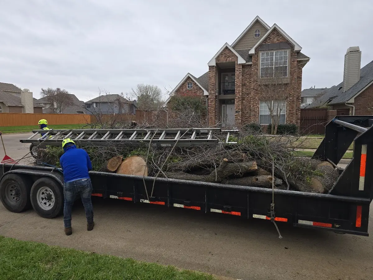 Expert Lot Clearing with proper safety equipment in Marshfield